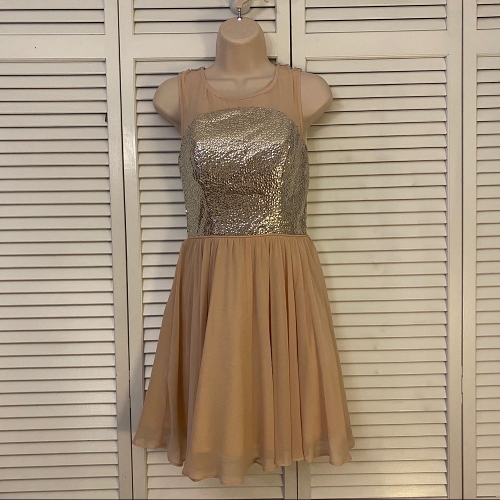 Pale Pink Sequin Dress
